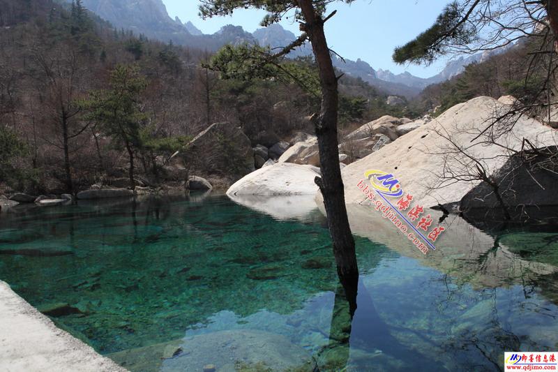 各地杂拍请指正