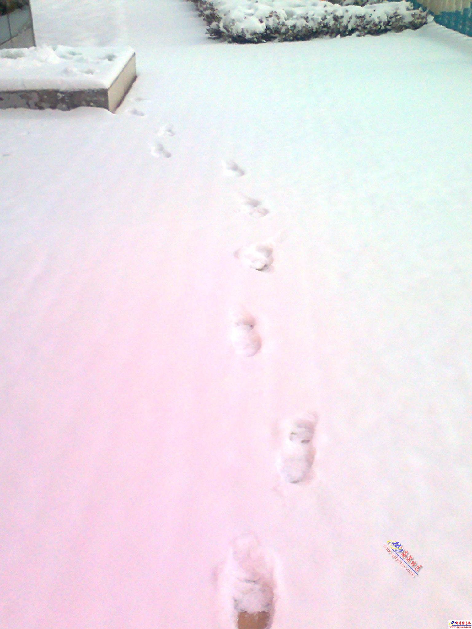下在春天的一场雪