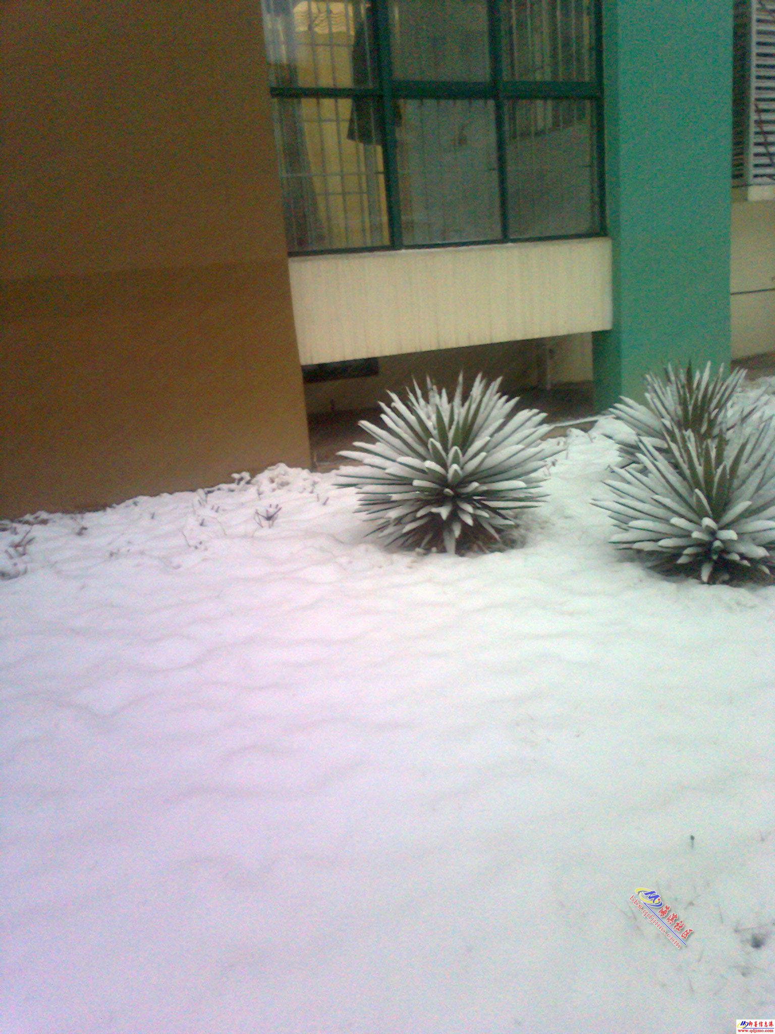 下在春天的一场雪