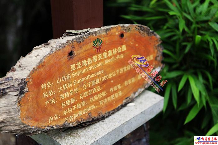 新人新作，旅游的几张片子。欢迎拍砖