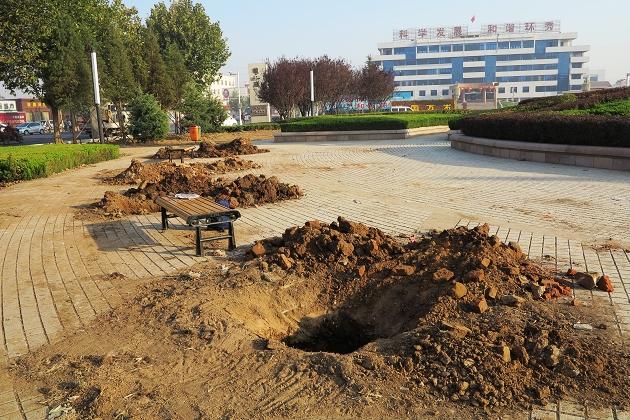 环秀办事处南广场挖大坑栽大树,市民健身无去处!