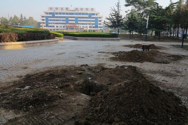 环秀办事处南广场挖大坑栽大树,市民健身无去处!