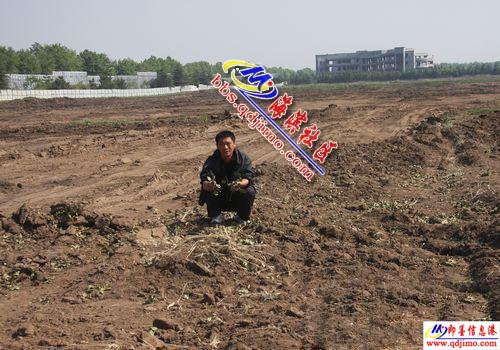 即发集团强占农田搞房地产欺上瞒下坑骗老百姓