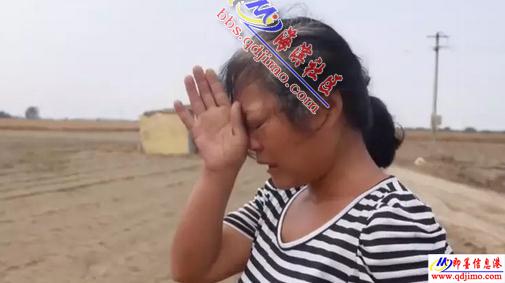 去年台风“哭肿了眼愁白了头”的寿光受灾菜农如今咋样了？