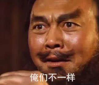 令猫有些许眼熟…