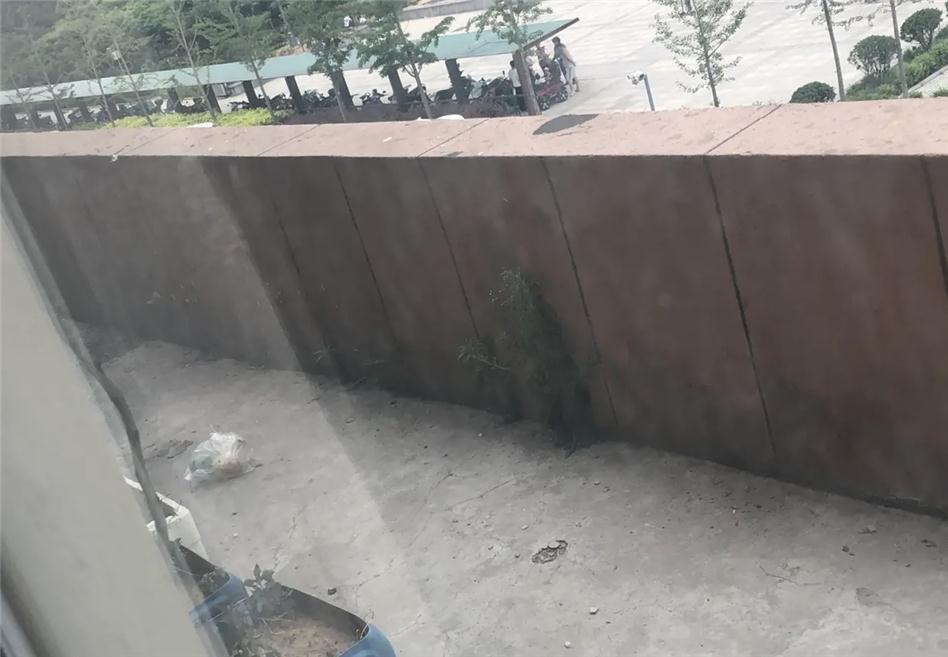 楼上经常往楼下泼水扔垃圾，我该找谁管一管？