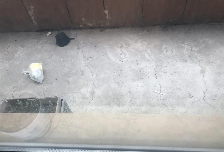 楼上经常往楼下泼水扔垃圾，我该找谁管一管？
