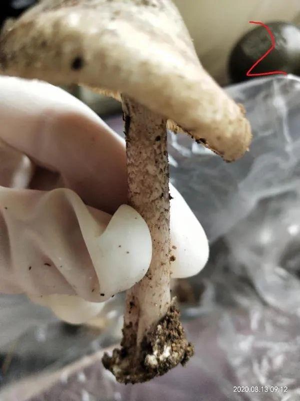 青岛疾控紧急提醒！已有多人中招！