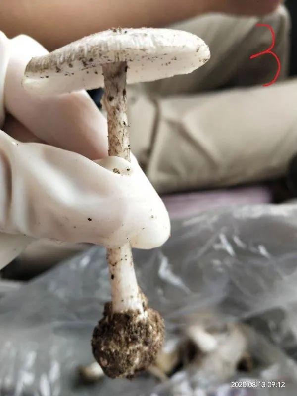 青岛疾控紧急提醒！已有多人中招！