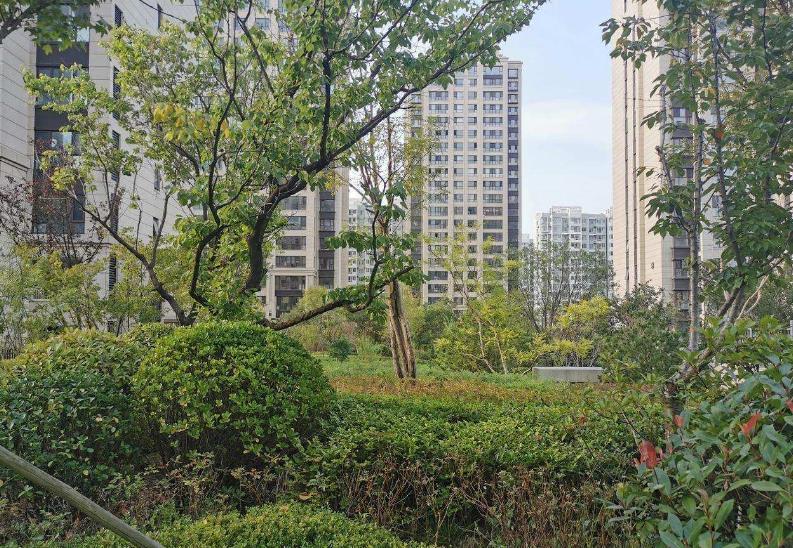 关于房子投资：老城区的房子价值是远大于远郊新盘的