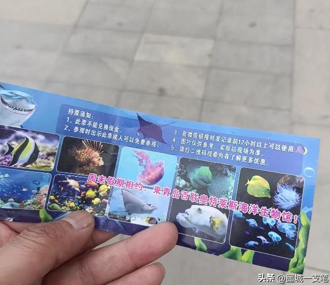 即墨南泉百联奥特莱斯购物广场的“海洋生物馆”是骗局