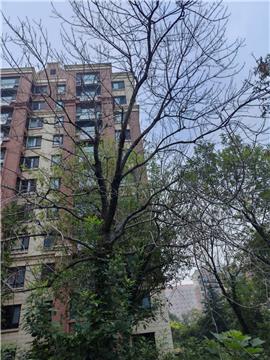 千户小区只开放一个门车辆通行