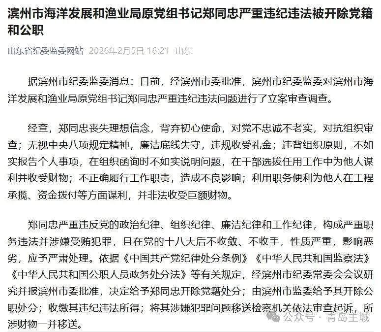 山东省纪委监委最新通报