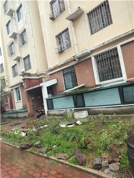 拆除违建恢复原貌