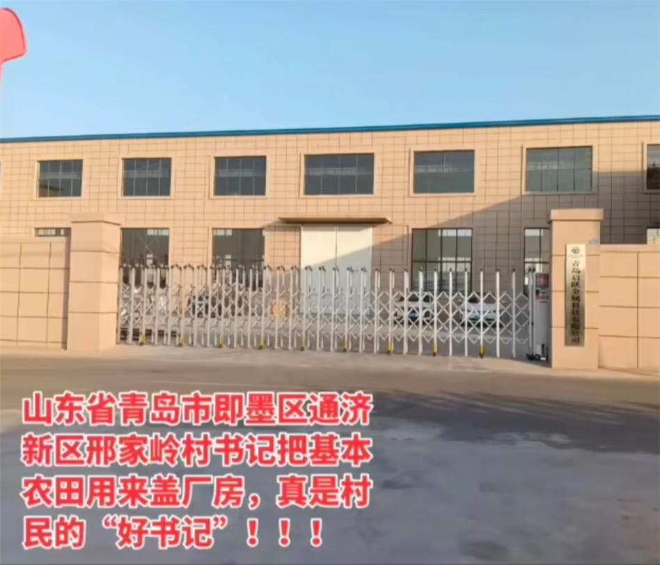 即墨通济新区邢家岭村，基本农田被违规侵占私建厂房，谁在践踏耕地红线？