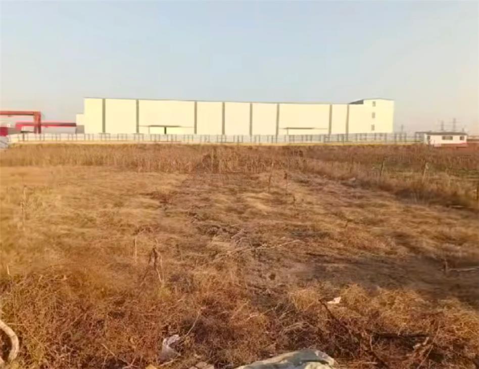 即墨通济新区邢家岭村，基本农田被违规侵占私建厂房，谁在践踏耕地红线？