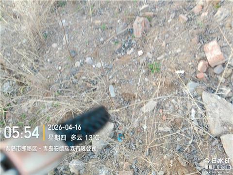 即墨区通济新区潘家官庄村毁坏耕地垃圾堆放如山