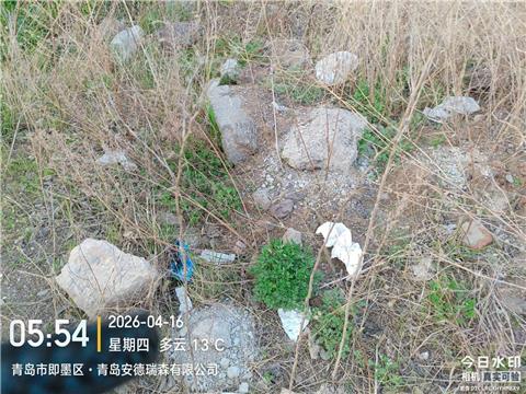 即墨区通济新区潘家官庄村毁坏耕地垃圾堆放如山