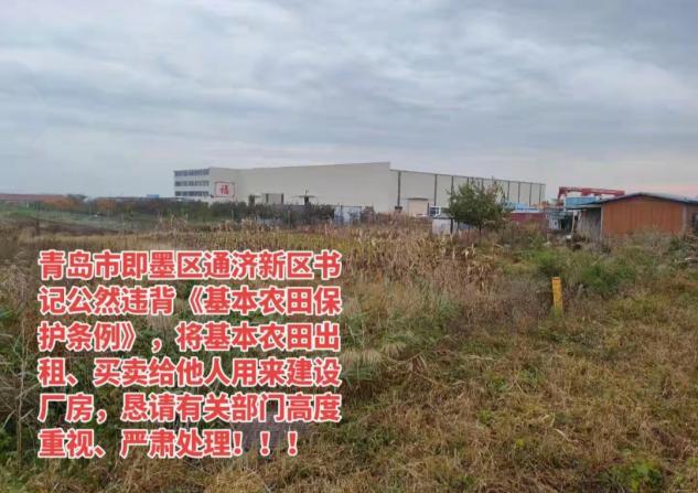 青岛即墨邢家岭村：谁在践踏基本农田？谁在破坏生态家园？