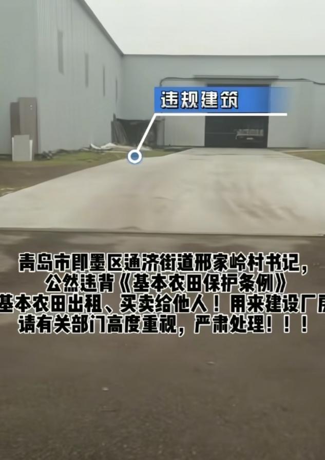 青岛即墨邢家岭村：谁在践踏基本农田？谁在破坏生态家园？