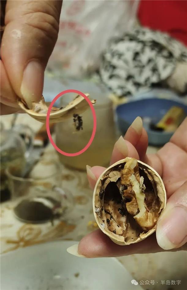 即墨一超市售卖“虫核桃”，食品安全“守护”失责？