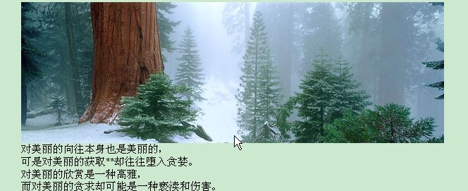 远远欣赏世间的美丽